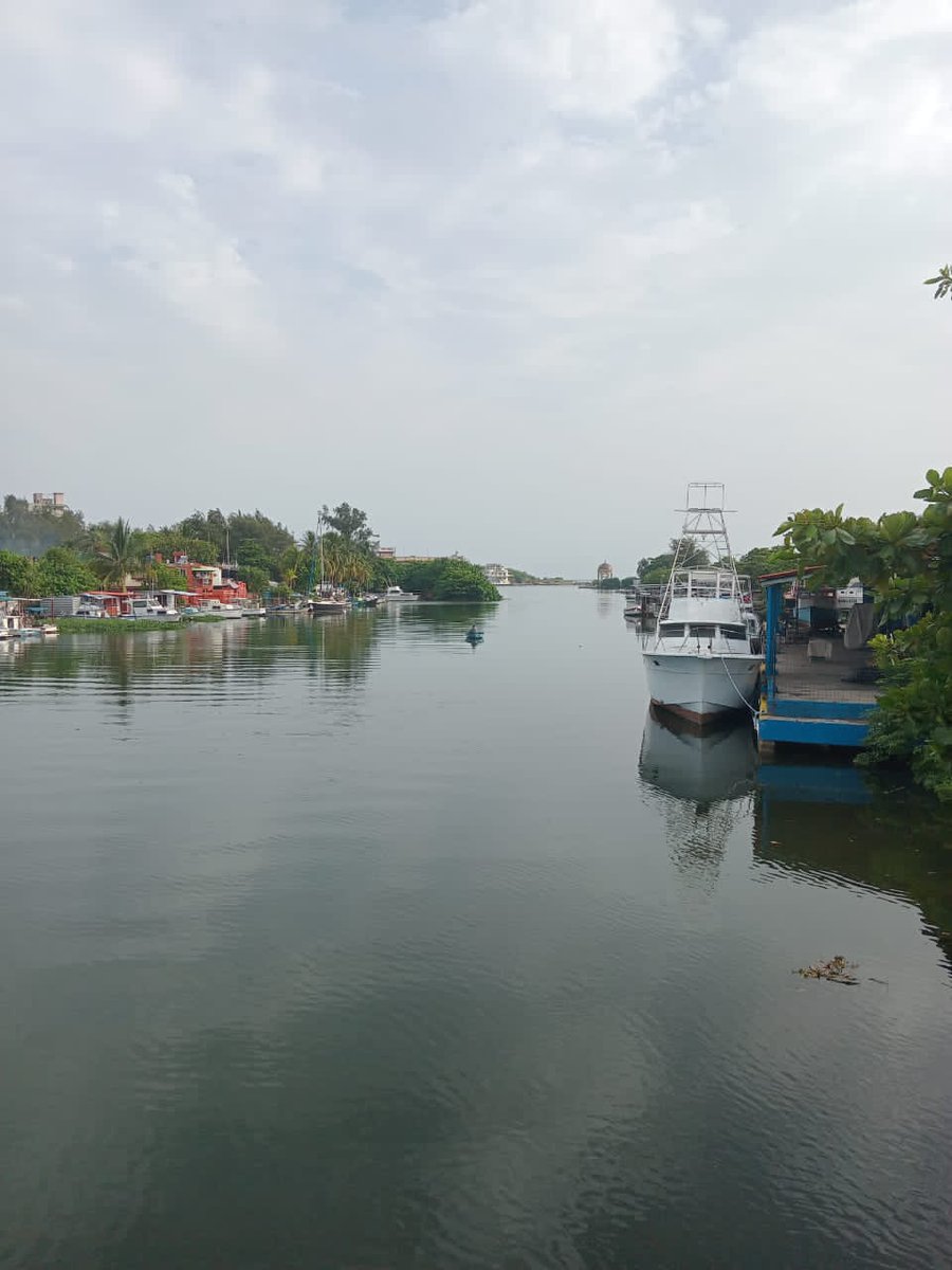 Lucia0102cuba's tweet photo. @OmarMG31685418 @rmandoVersos @AlexRodSuarez69 @AmaliaR622 @Aittana20 @ICuba15 @GabrielaBella59 @jaavieraahc @Anita_Zurda @AleidaB95 @HojasDeVersos @Cuba_Trovador @elicardenas39 @Miranda21351244 @Xotchil73962208 @gabyisla89 @GisellePlus @AitakZamir68390 @AlasDeAmorCuba Hermosa tu #DecimaDelAlma @OmarMG31685418
Feliz y apasible sábado 🙏✍️👏👍🌹 https://t.co/2p1dPUs9fc