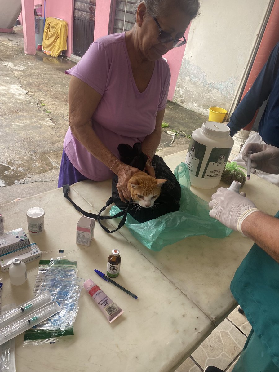 Diego De la O Cetina (@diegoedelao) on Twitter photo En Gaviotas, sector popular llevamos a cabo este sábado una campaña más de vacunación para animales de compañía. Gracias a las familias de la colonia que participan a favor de la salud y bienestar animal <a href="/partidoverdemex/">Partido Verde</a> <a href="/pvemtabasco/">PVEMTABASCO</a> En Gaviotas, sector popular llevamos a cabo este sábado una campaña más de vacunación para animales de compañía. Gracias a las familias de la colonia que participan a favor de la salud y bienestar animal <a href="/partidoverdemex/">Partido Verde</a> <a href="/pvemtabasco/">PVEMTABASCO</a>