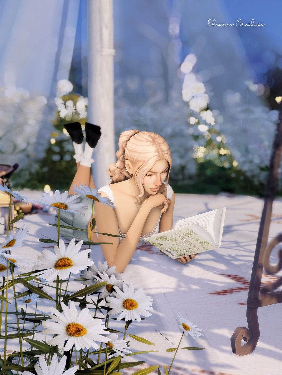 halotrait's tweet image. ᥫ᭡.