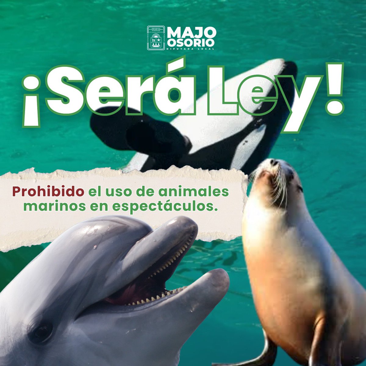 El respeto a la vida de nuestros mamíferos marinos es una demanda añeja del pueblo que muy pronto #SeráLey ✅

Adiós a los delfinarios y a los espectáculos  que ponen en peligro la vida de delfines o lobos marinos. 🐬🦭🙏🏻
¡Ya no más reproducción de animales en cautiverio!