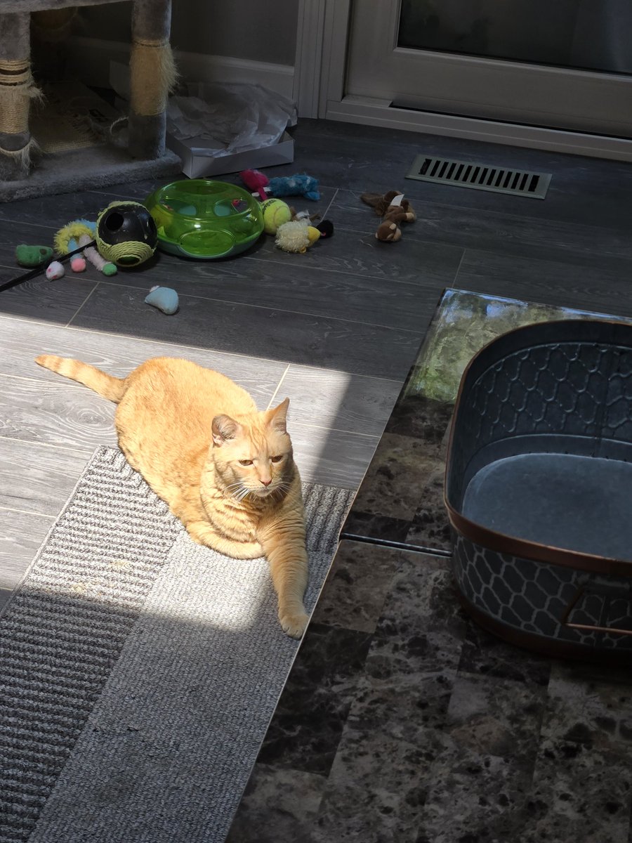 The Duke tweet media