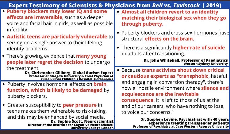 4FutureSake's tweet photo. @dr_jon_l @lespauljunior3 Gay rights are erased by “gender identity” ideology. 
Proto-homosexuals are being medicalized into ersatz heterosexual. 
Lesbians are being sexually coerced to accept “girl-dick”. Homosexual men are being gaslit to accept female sexual partners. Ask @MrMennoTweets. https://t.co/HNXBrlHlil