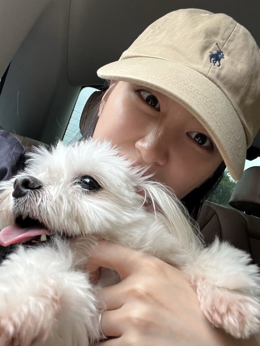 #앨리스 #유경 #강아지 #selpi 

유경아, 잘 지내지? 😢
건강하고~~