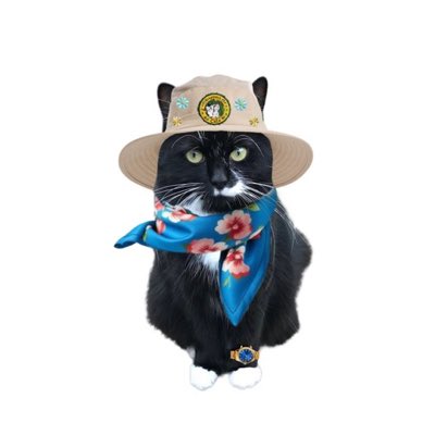 #NewProfilePic