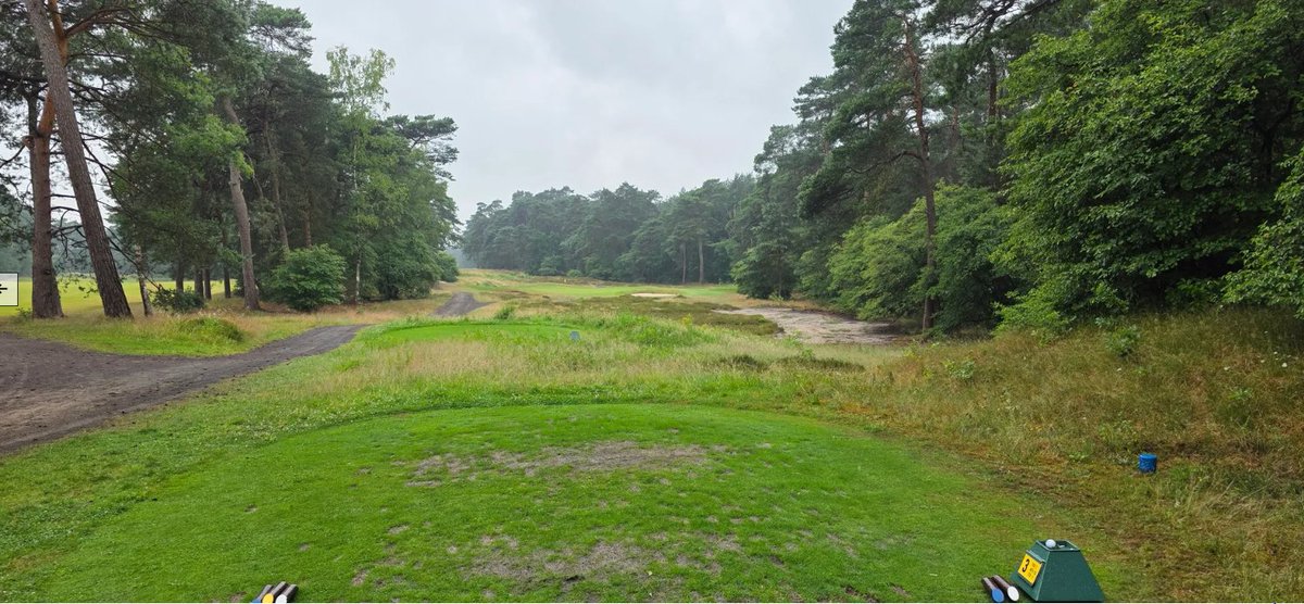 After spending a week in Utrecht in Holland playing 4 courses, this is the way I ranked them from top to bottom, based on price/quality.
1. De Lage Vuursche (175 EUR)
2. De Hoge Kleij (125 EUR)
3. De Goyer (130 EUR)
4. De Pan (230 EUR) photo