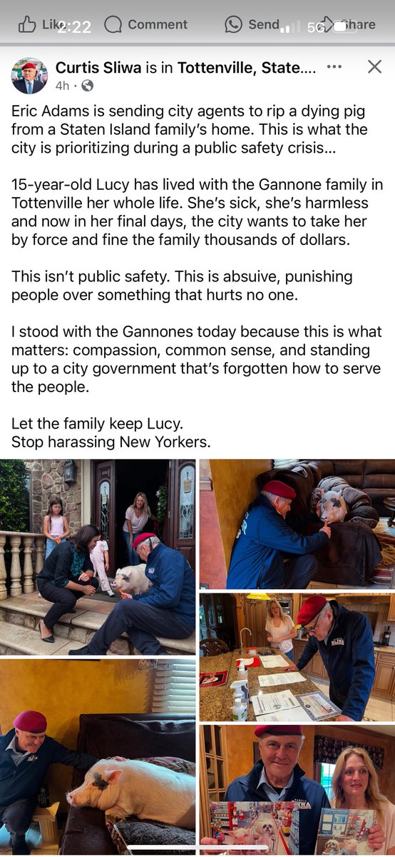 This election has everything! Mayor Adams threatened to evict a pet pig named Lucy; Curtis Sliwa steps in!