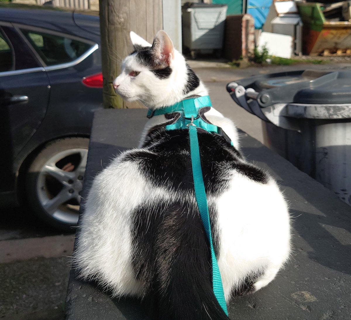 Natalie Kelda tweet media