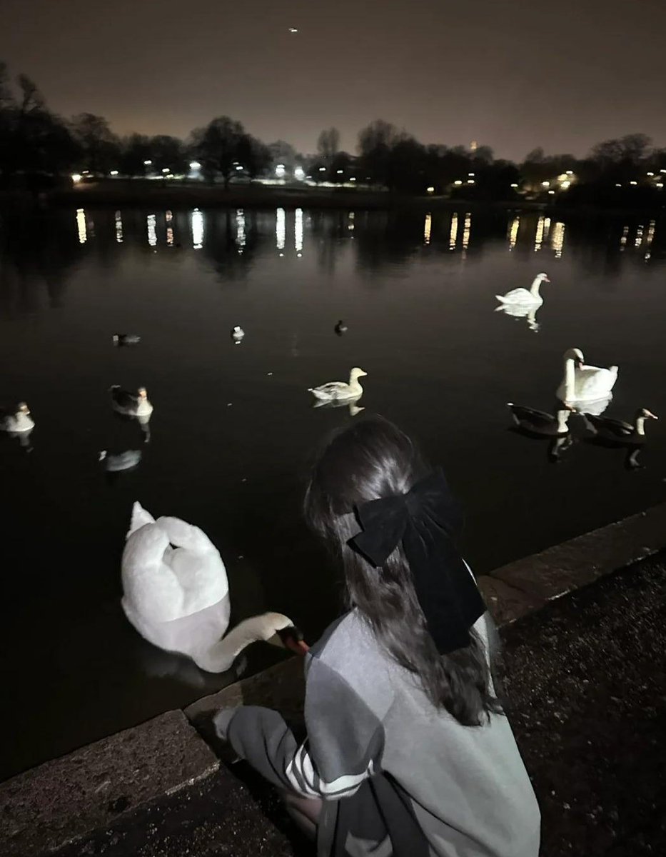 🌙✨ Embark on a magical night-time walk in the park 🌿🎶 Serenaded by gentle bird chirps 🐦 and the soothing sound of a flowing river 🌊💫 Embrace nature’s beautiful symphony 🍃💛