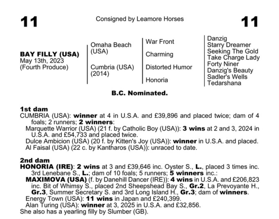 Goffs Scandinavia (@goffsnordic) on Twitter photo Lot 11 <a href="/Goffs1866/">Goffs</a> Classic <a href="/BrzUps/">Breeze Up Sales</a> sells for €65,000 to <a href="/Deburghequine/">De Burgh Equine</a> <a href="/MartinBuick/">Martin Buick</a> on behalf of <a href="/swehorseracing/">Swedish Horseracing</a> trainer Annika Delinder at Jägersro. US bred filly by <a href="/spendthriftfarm/">Spendthrift Farm</a> 2nd Crop Champion Sire Omaha Beach. Best of luck with her in Scandinavia ✨ Lot 11 <a href="/Goffs1866/">Goffs</a> Classic <a href="/BrzUps/">Breeze Up Sales</a> sells for €65,000 to <a href="/Deburghequine/">De Burgh Equine</a> <a href="/MartinBuick/">Martin Buick</a> on behalf of <a href="/swehorseracing/">Swedish Horseracing</a> trainer Annika Delinder at Jägersro. US bred filly by <a href="/spendthriftfarm/">Spendthrift Farm</a> 2nd Crop Champion Sire Omaha Beach. Best of luck with her in Scandinavia ✨