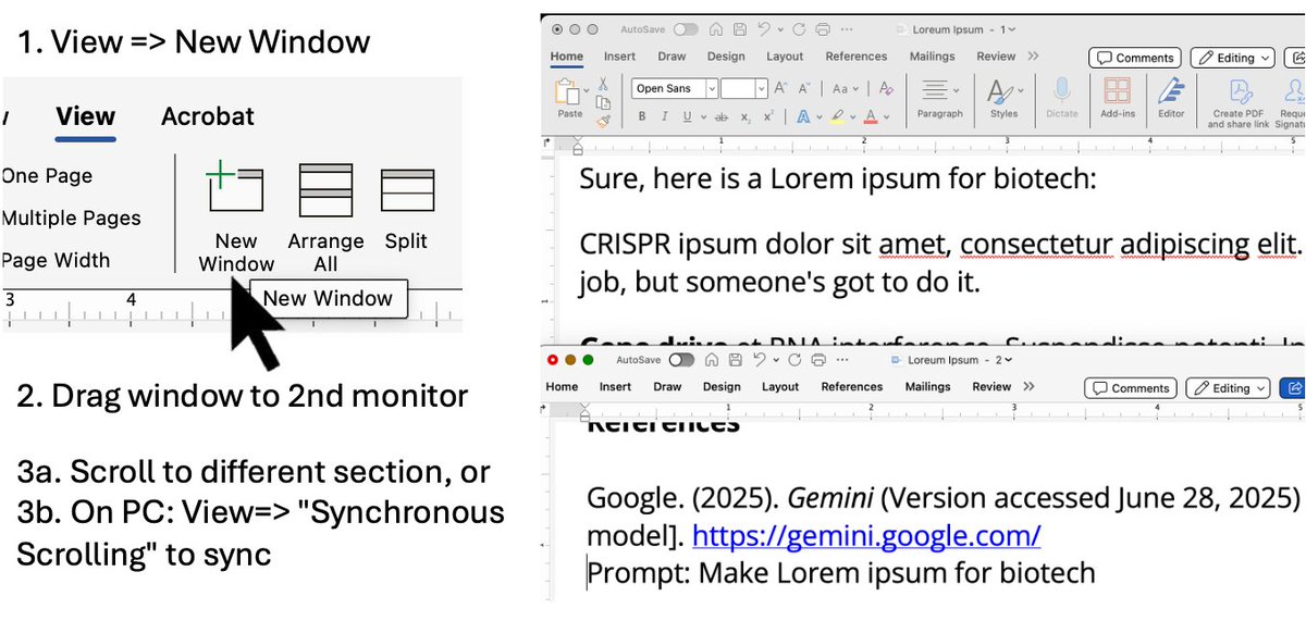 A Word / Excel tip: You can have 2 parts of the document on 2 monitors. 
1) Under View Tab =&gt;New Window 
2) Drag new window to new monitor. 
Note what Gemini gave for "biotech Lorem ipsum"