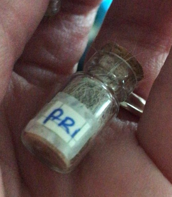 Manito Aristarco, acabo de recibir la foto de tu hermoso regalo que me mandaste, desafortunadamente, el paquete llegó después del viaje de Tia Uldita. Es tan hermoso, y tus pelitos, que me dieron ganas de llorar <a href="/AriBotero/">Ari Mau Botero</a>