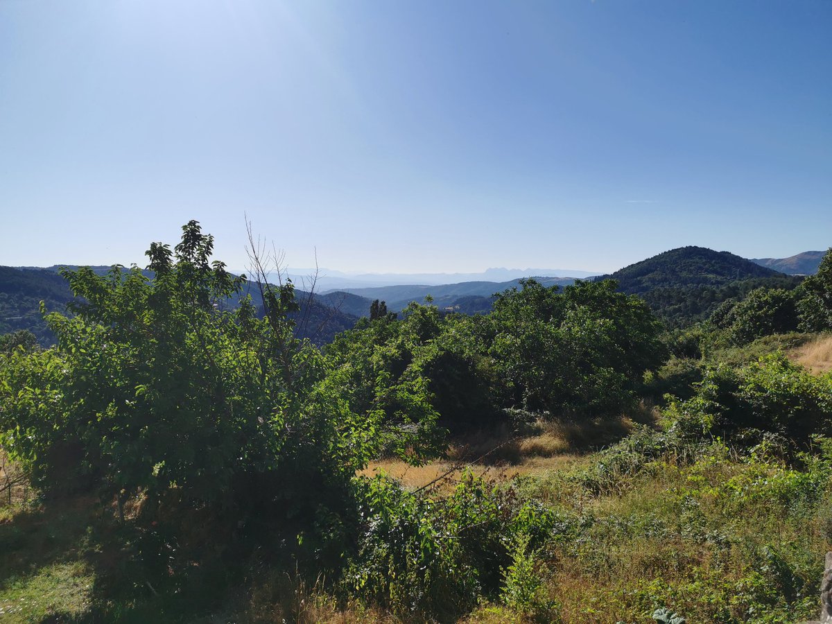 Petit week-end en famille pour le président et la trésorière.
Le plan de salle est validé, le matériel est prêt et testé. Les serveurs sont testés et mis à jour régulièrement (dans quelques semaines ils passent en stress) et les firewalls sont OK aussi
