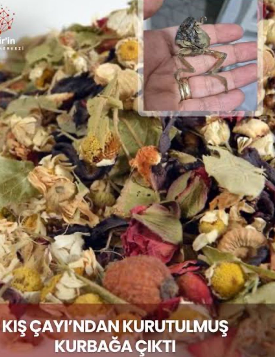 Aktarda satılanlar içerik açısından daha zengin oluyo, şahsen ben de bi eczacı olarak aktarda satılan bitki çaylarını öneririm protein oranı daha yüksek 👍🏻