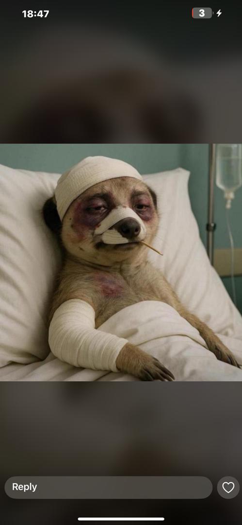 Ordinary meme em dey do una wey wicked full body don use vex injure am, see the condition em dey for hospital now.....