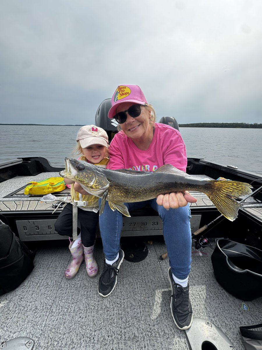 So many walleye at Camp Lake St. Joseph in northwest Ontario! Not many places you can bring your 2 year old and catch over 100 fish a day! Best kept secret in walleye fishing. #dsgfish #doingsomethinggreat