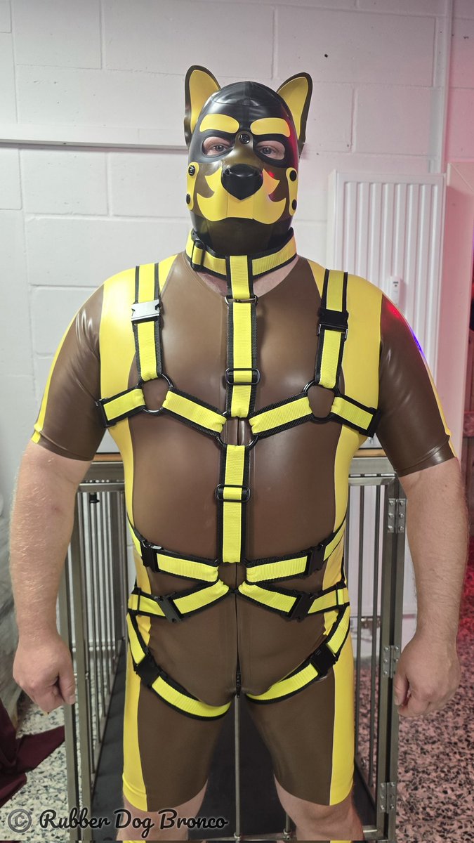 Behind me in the cage, there would still be room for a naughty doggy.