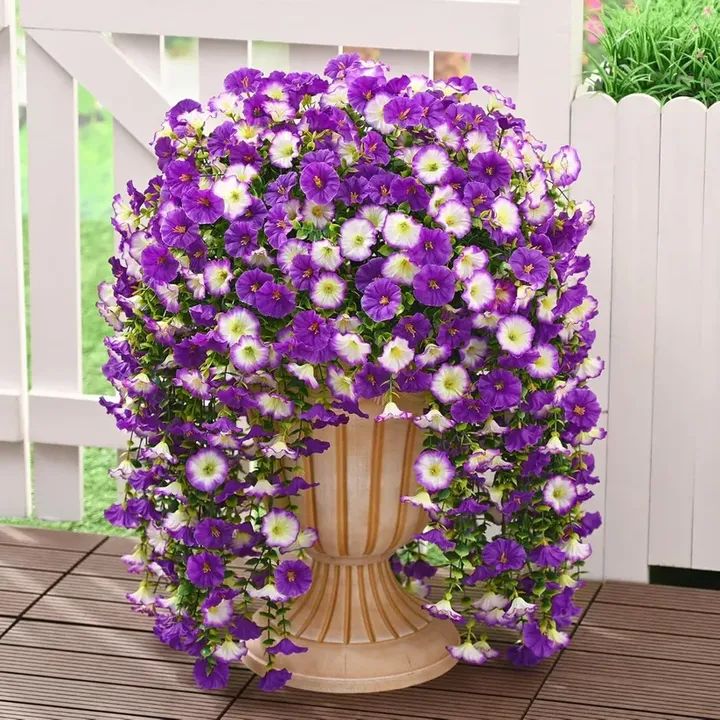 GoodsHomestead's tweet photo. Transform your porch or patio with this 8-pack of lifelike artificial outdoor flowers.
🌺☀️🌧️https://t.co/89i7WwKPaO

#ArtificialFlowers #FakeFlowers #OutdoorFlowers #RealisticFlorals #LookRealFlowers #HangingFlowers #8PackFlowers #FauxFlorals #PatioDecor #PorchDecor https://t.co/8VPFR5YT2B