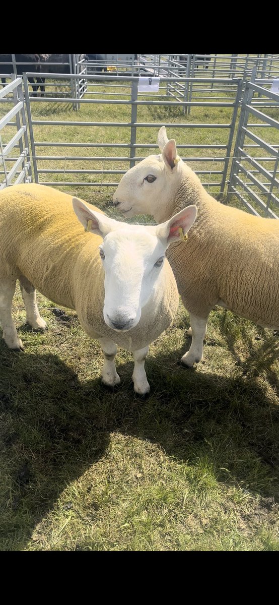 Gemma Cooper tweet media