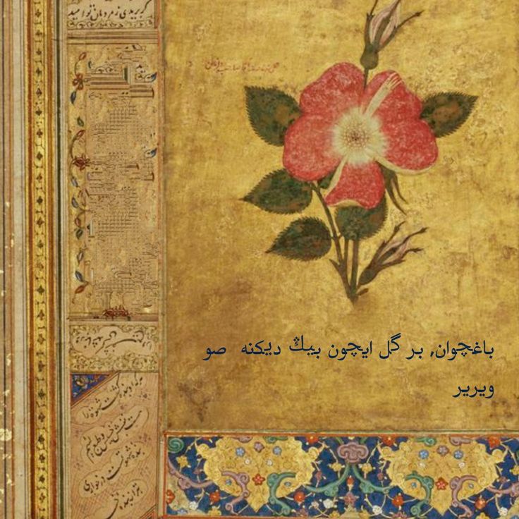 Râsihâne راسخانه tweet media