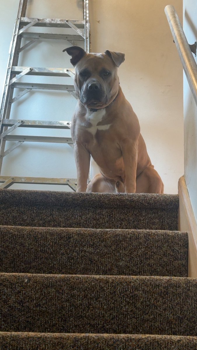 My son Ace…..