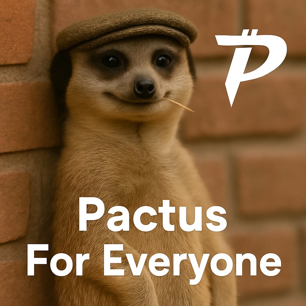 IssifouIssaka04's tweet image. Me watching other users waste exorbitant fees on other Layer 1s while on @PactusChain you can send up to 3 transactions per day for free 😎

#Pactus #Memes