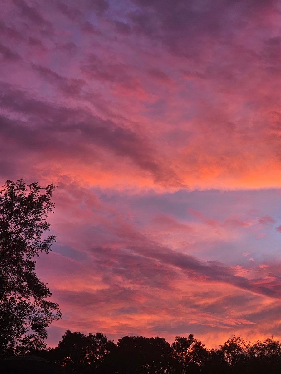 JaneidyEve's tweet image. My goal is to beautify your timeline with my photos - challenge… ✨