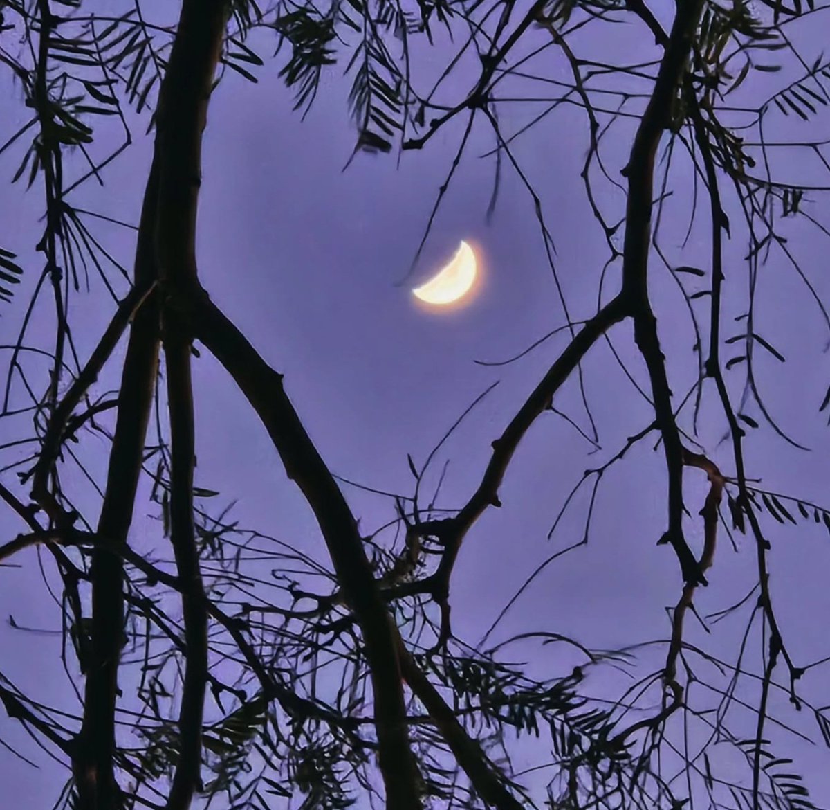 JaneidyEve's tweet image. My goal is to beautify your timeline with my photos - challenge… ✨