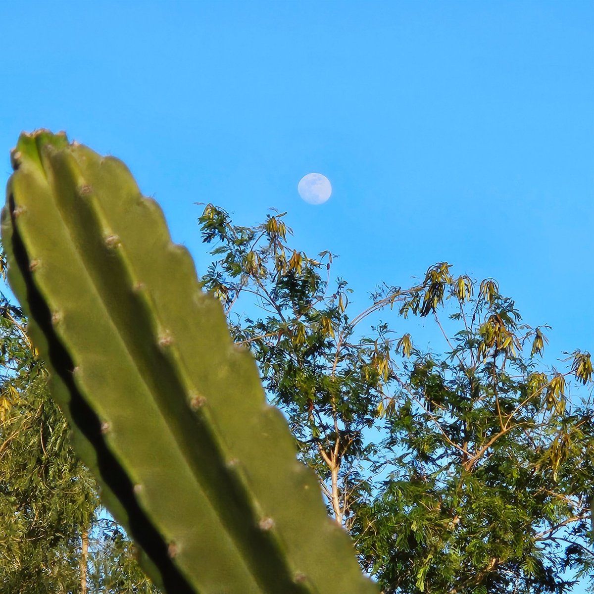 JaneidyEve's tweet image. My goal is to beautify your timeline with my photos - challenge… ✨