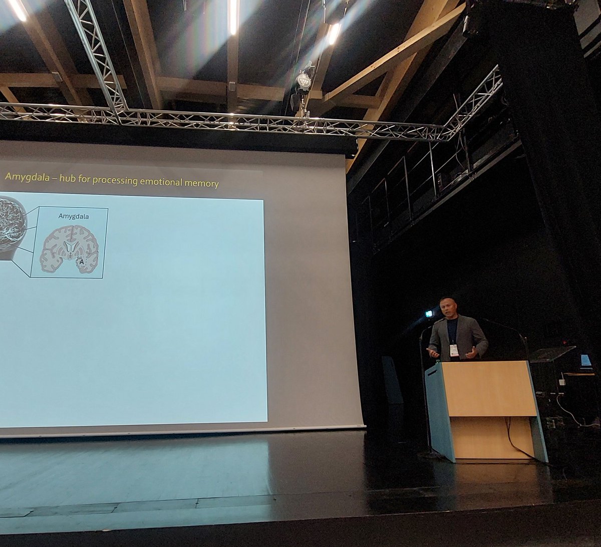 Paula Gómez Sotres (@neurocuriously) on Twitter photo First chaired symposium with <a href="/PacinelliGiada/">Giada Pacinelli</a> and (except for minor technical difficulties) went gréât! We shared the latest insight on how astrocytes contribute the processing of emotion and cognition, thanks to Alexandre Charlet and Andrew Holmes for their participation 🧠😃 First chaired symposium with <a href="/PacinelliGiada/">Giada Pacinelli</a> and (except for minor technical difficulties) went gréât! We shared the latest insight on how astrocytes contribute the processing of emotion and cognition, thanks to Alexandre Charlet and Andrew Holmes for their participation 🧠😃