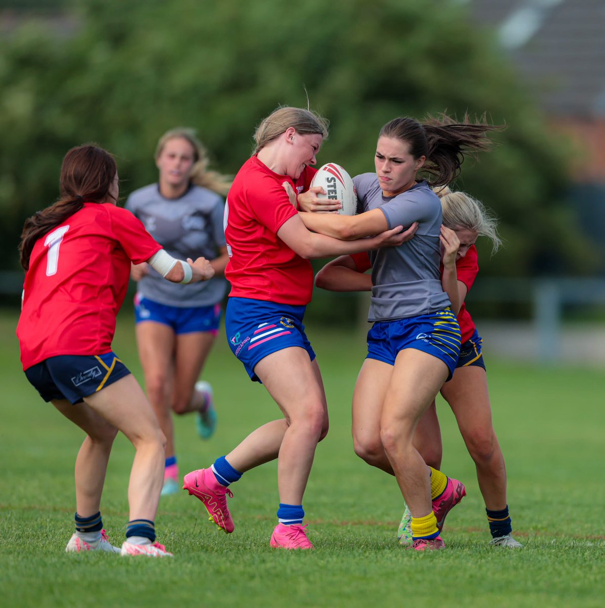 Conor Meese tweet media