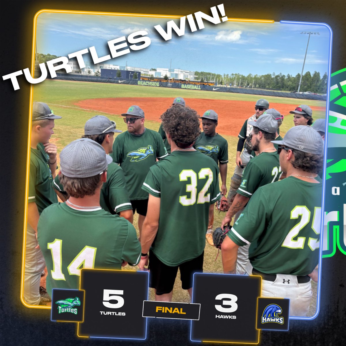 Turtles get the comeback W! 🐢🐢🐢