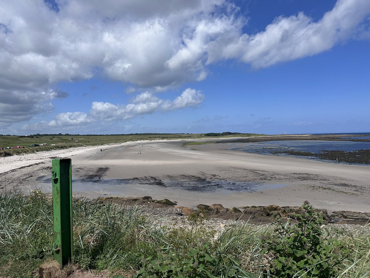 KinlochSusan's tweet image. Beach day. Very windy ๐ณ๐ถ๐๏ธ๐ด๓ ง๓ ข๓ ณ๓ ฃ๓ ด๓ ฟโ๏ธ