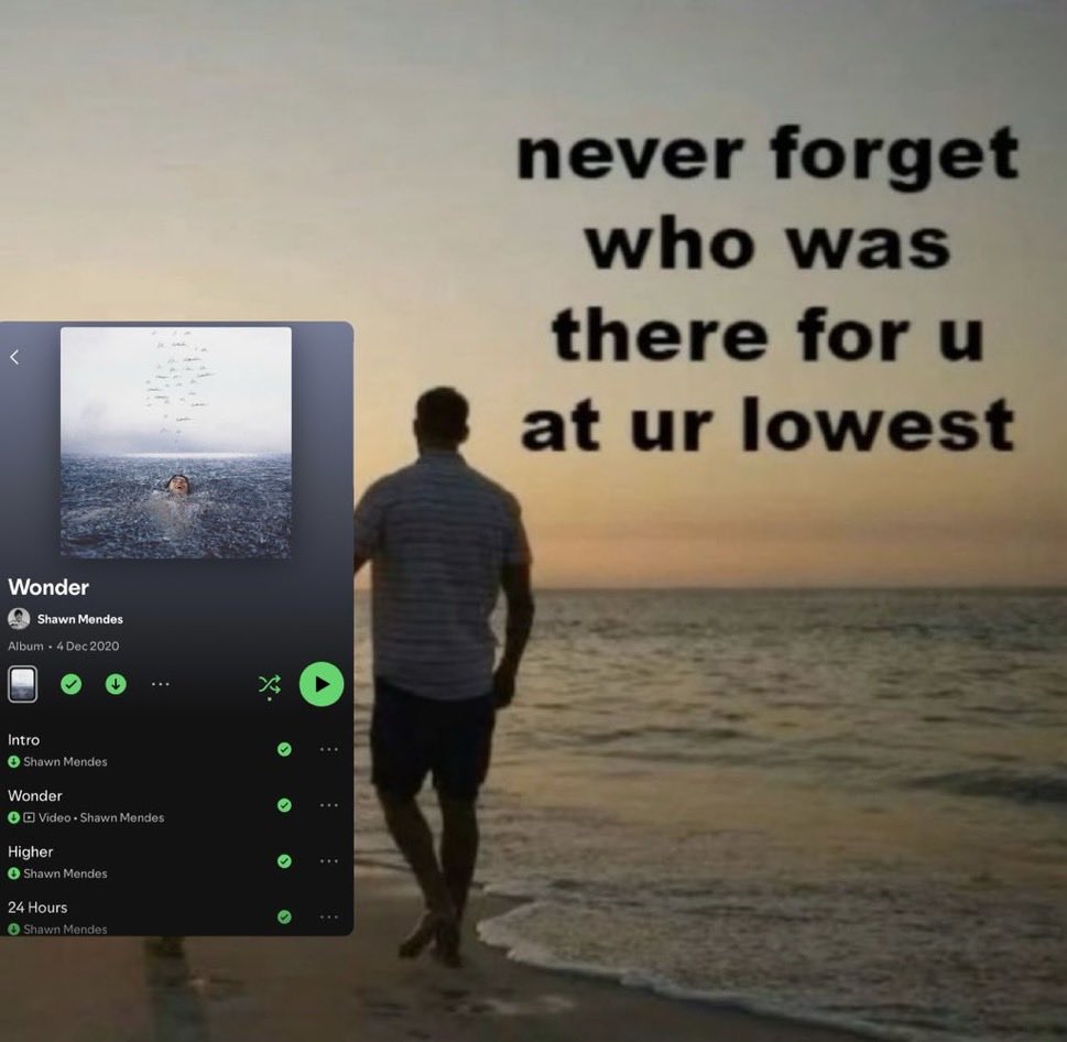 wonder by shawn mendes 🤝🏼 me