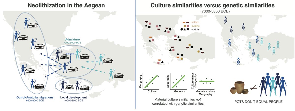 🌾 Tarım, her zaman insanlarla birlikte göç etmedi.
Yeni antik DNA çalışması gösteriyor ki, Batı Anadolu’da insanlar yerlerinde kalırken, tarım ve köy hayatı fikir ve pratikler yoluyla yayıldı.
