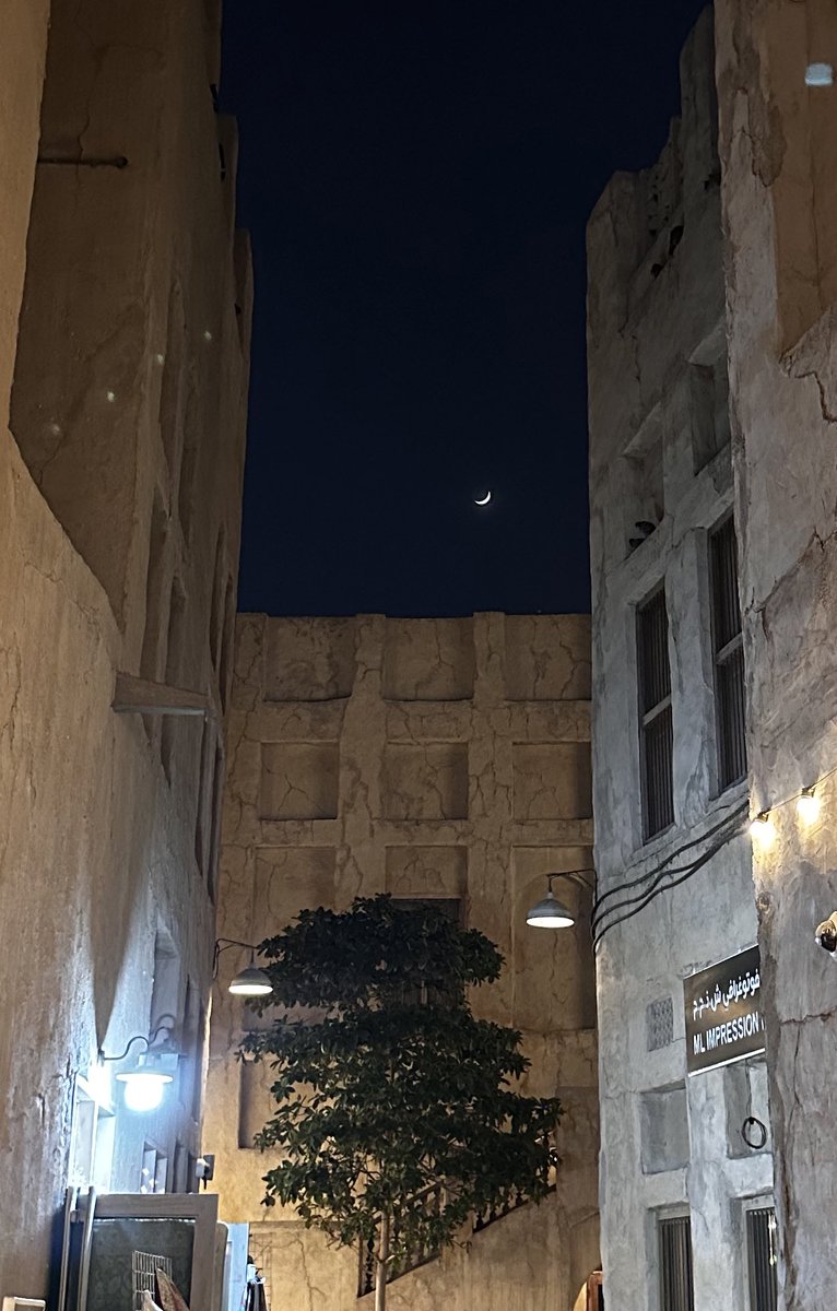 دانه (@bydanalg) on Twitter photo 