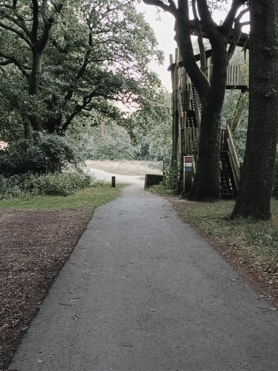 Ver weg van alle drukte en grenscontroles,loop zo over de grens , iedereen een fijne avond gewenst 🌙✨