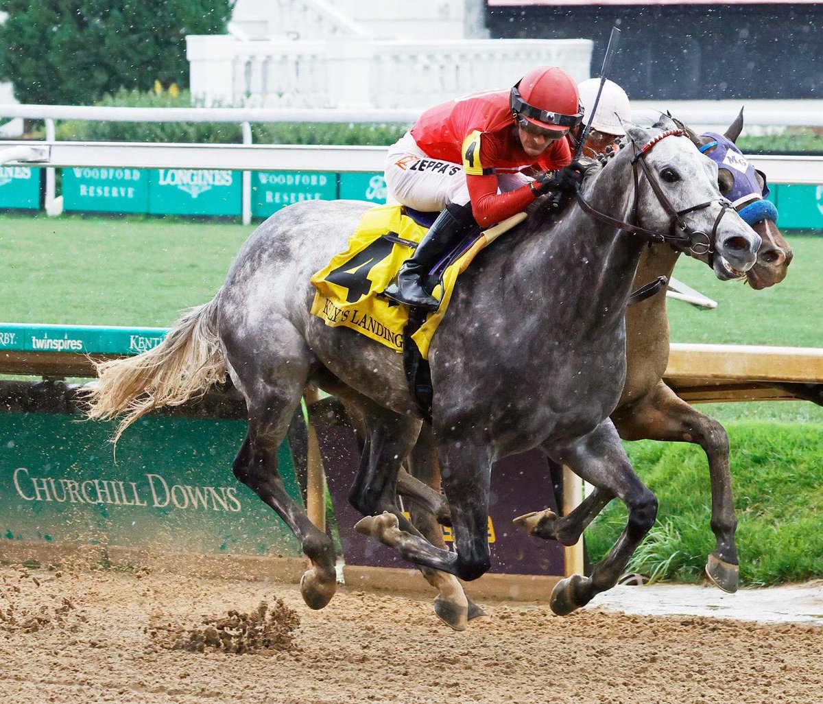 🏆 ROLL ON BIG JOE
(Julien Leparoux - Robert Hess Jr.)
KELLY’S LANDING STAKES 2025 ($250,000) Churchill Downs <a href="/ChurchillDowns/">Churchill Downs</a> <a href="/JulienLeparoux/">Julien Leparoux</a> <a href="/RanchoTemescal/">RanchoTemescal</a> <a href="/florida_horse/">FTBOA</a> <a href="/DerbyMedia/">Churchill Downs PR</a> 
📷 Coady Media