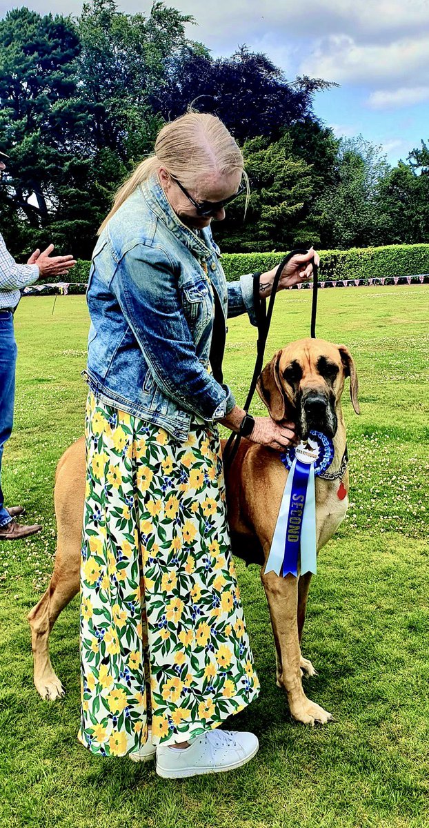 My youngest did me proud today with a 2nd in best of show at her first ever dog show 🥂🦴