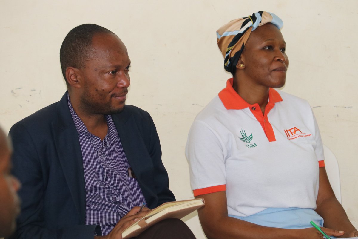 Dkt. Mpoki Shimwela kutoka Taasisi ya utafiti wa Kilimo (TARI) akieleza jinsi virusi vya BBTV vinavyoenezwa na binadamu kupitia miche isiyothibitishwa na njia nyingine ni mdudu aina ya Aphid, mdudu huyu hunyonya utomvu kutoka kwa mmea wa ndizi ulioathirika na virusi vya BBTD na