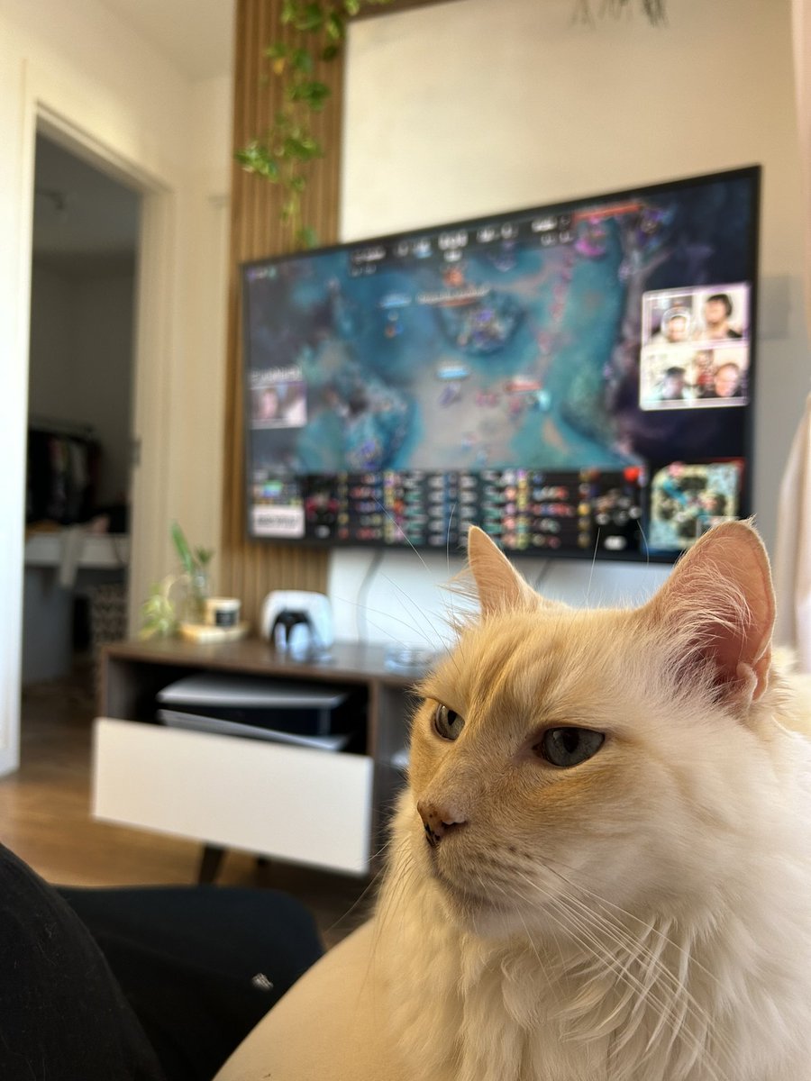 fefopassos's tweet photo. Pra cima deles com o Fúria do dia! #FuriaNaIDL #MSI2025 #msinailha @ilhadaslendas @baianolol1 https://t.co/ZgUmTX9gJJ