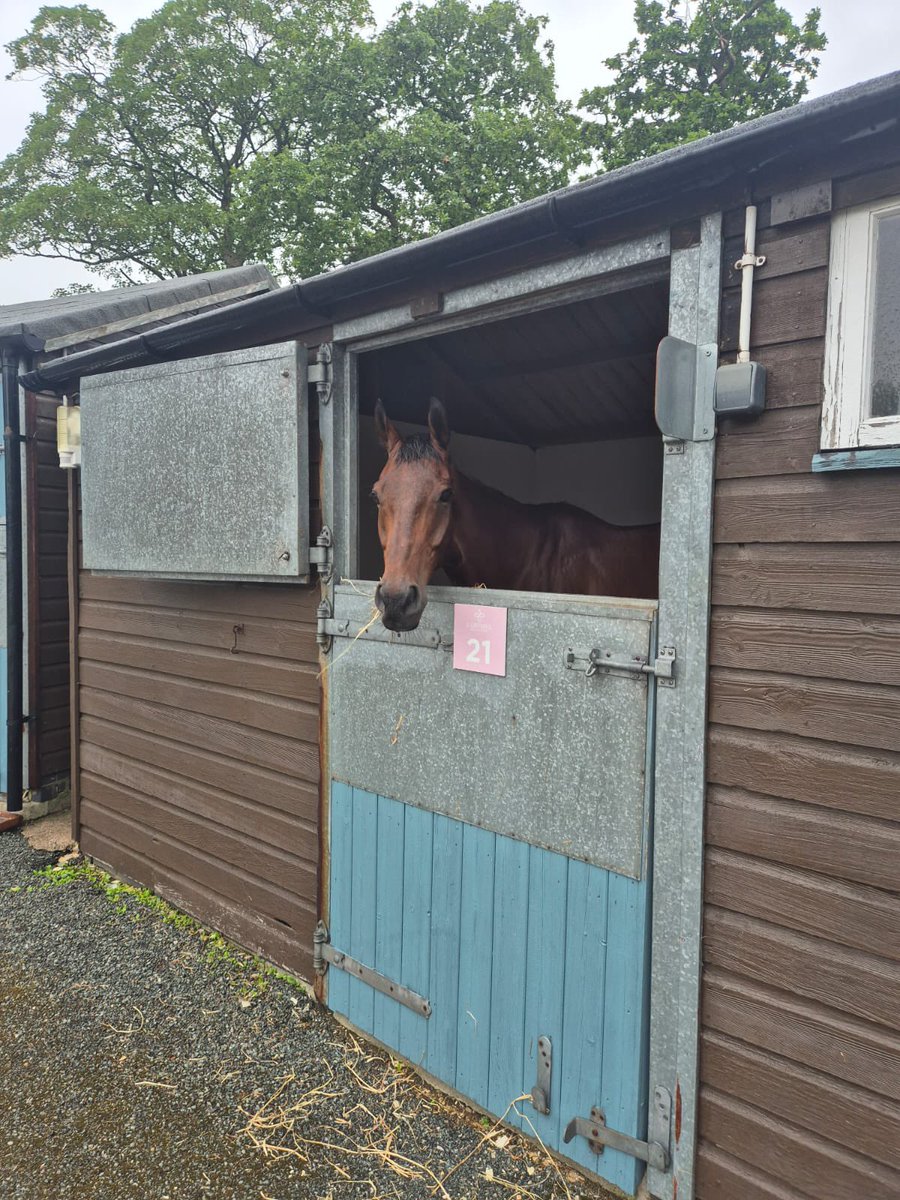 Chris Gordon Racing (@chrisgordonrac1) on Twitter photo Happy horses in their overnight hotel ahead of running at Cartmel tomorrow
<a href="/betgoodwinuk/">BetGoodwin</a>
<a href="/EQFencing/">Equestrian Fencing </a>
<a href="/chrisgordon68/">Chris Gordon</a>
<a href="/freddie68528641/">freddie gordon</a>
<a href="/Cartmelrace/">Cartmel Racecourse</a> Happy horses in their overnight hotel ahead of running at Cartmel tomorrow
<a href="/betgoodwinuk/">BetGoodwin</a>
<a href="/EQFencing/">Equestrian Fencing </a>
<a href="/chrisgordon68/">Chris Gordon</a>
<a href="/freddie68528641/">freddie gordon</a>
<a href="/Cartmelrace/">Cartmel Racecourse</a>