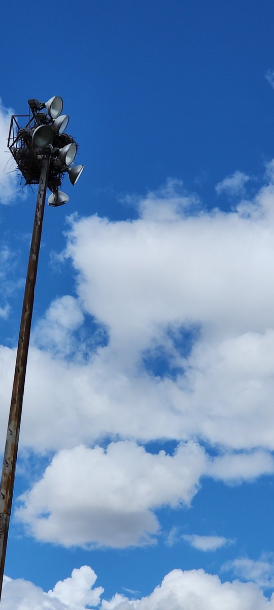 "Be the change you wish to see in the world."