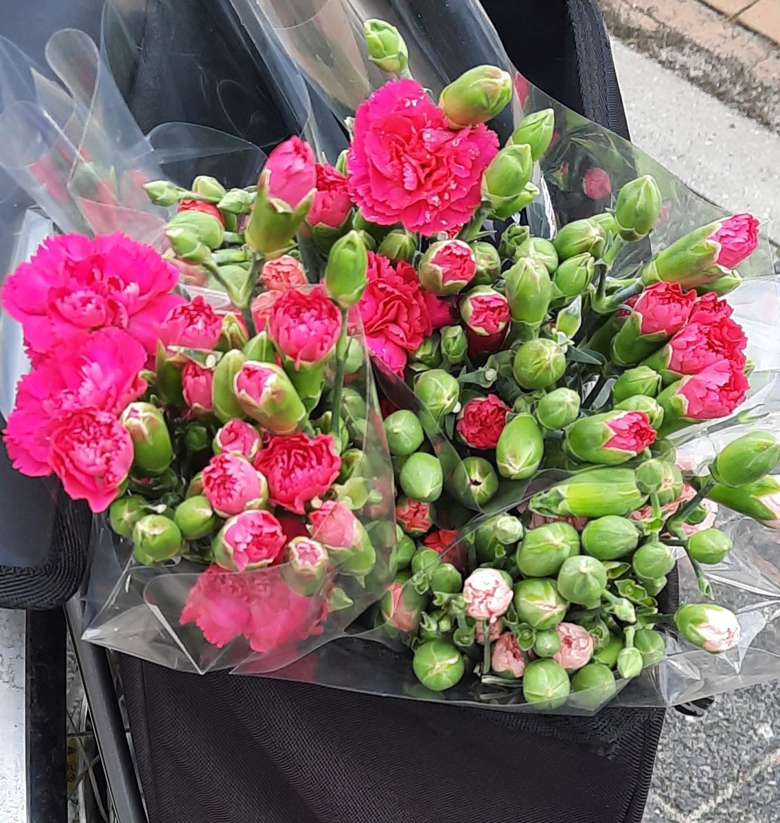 Naast alle zorgen voor onze zoon en 2 kleinkinderen is het ook belangrijk dat we de andere kl.kinderen niet vergeten. Gisteren was de laatste avond van de avond4daagse van onze jongste kleinkinderen.  Natuurlijk bloemen gebracht. De 7 yo rende ons bijna voorbij. Totaal niet moe.