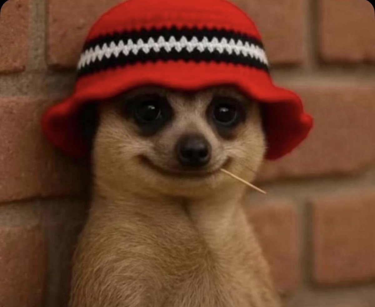 Teacher : what do you want to become in future 
Me: Medical doctor 
Government :👇