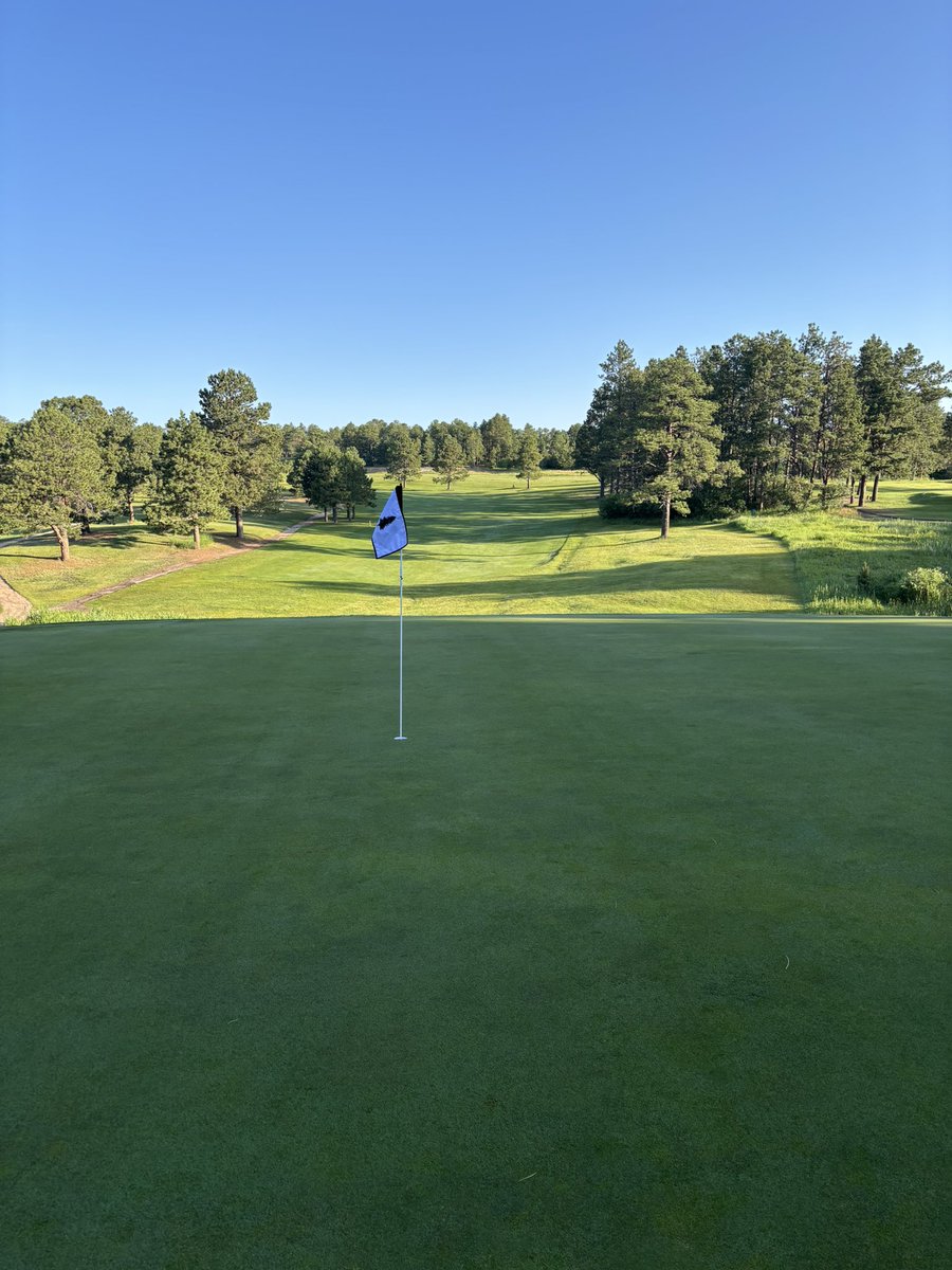 Kollin Vandersluis tweet media