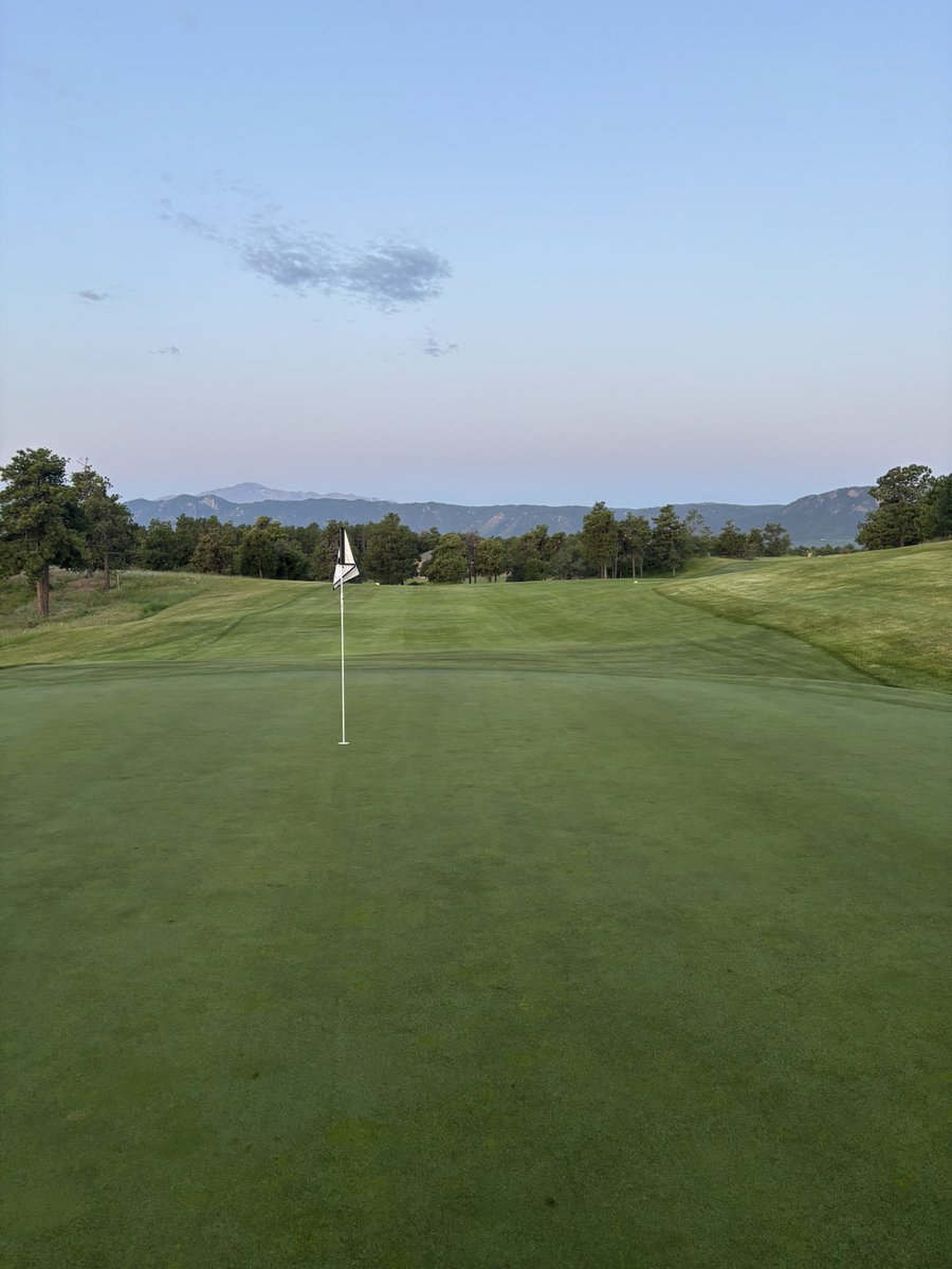 Kollin Vandersluis tweet media