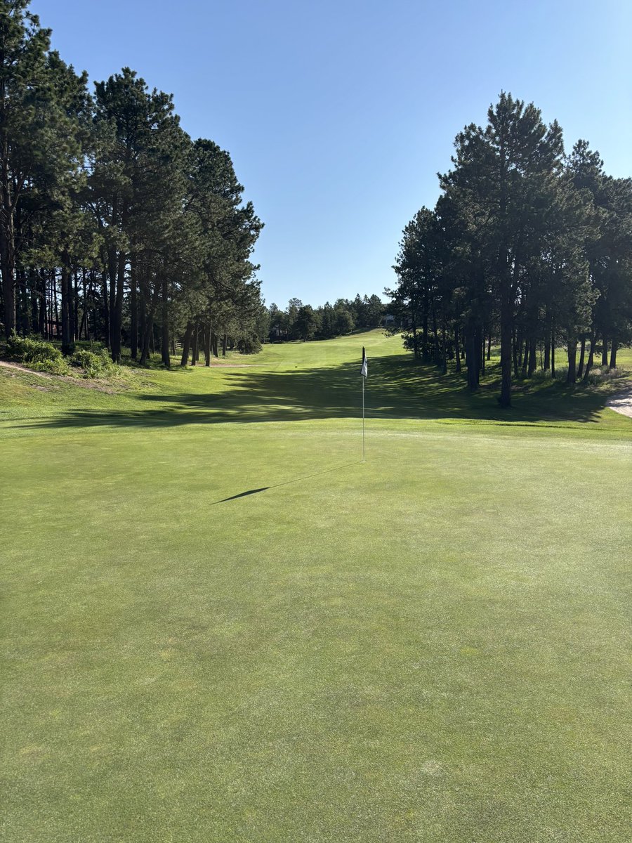 Kollin Vandersluis tweet media