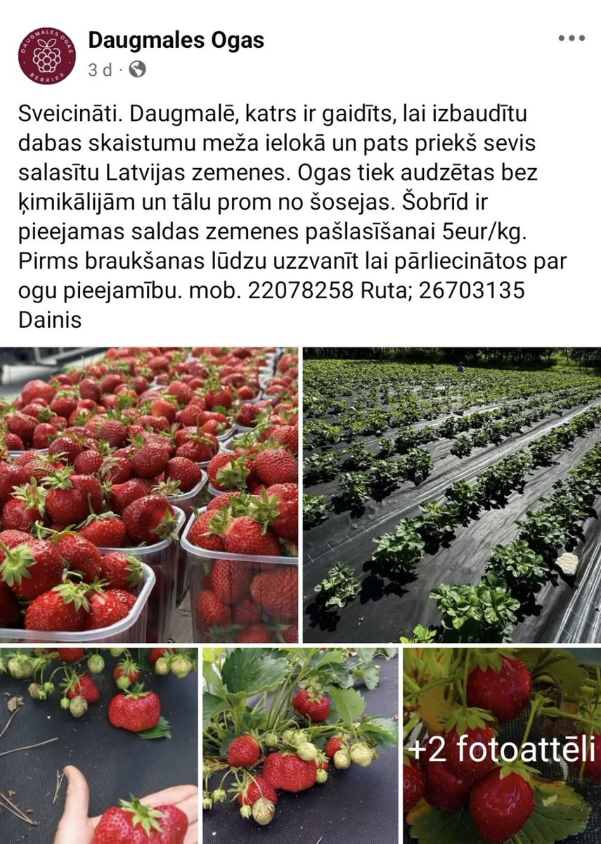 Ja gribas jaukas zemenītes, te var pats aizbraukt un ielasīt. Skaista vieta, patīkami saimnieki, gardas odziņas, šodien biju!
