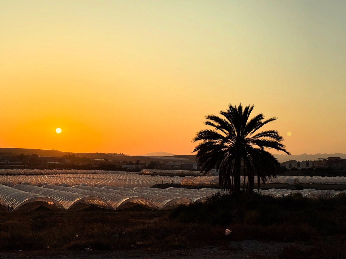 Last sunset here for a few weeks, back north tomorrow 🇪🇸🏴󠁧󠁢󠁳󠁣󠁴󠁿