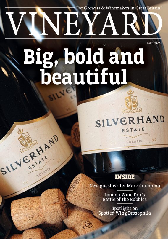 The July issue of Vineyard Magazine is out now! 🍇 
From Worthing’s - The Tern - championing English wine to a deep dive into the UK’s largest organic vineyard, plus tackling crop threats. 
#VineyardMagazine #EnglishWine #KelseyMedia